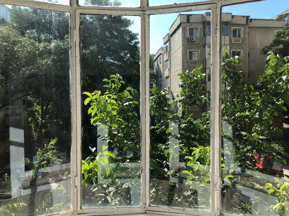Le Garcon De Cristina-simple,quiet,spacious Apartament Bucureşti