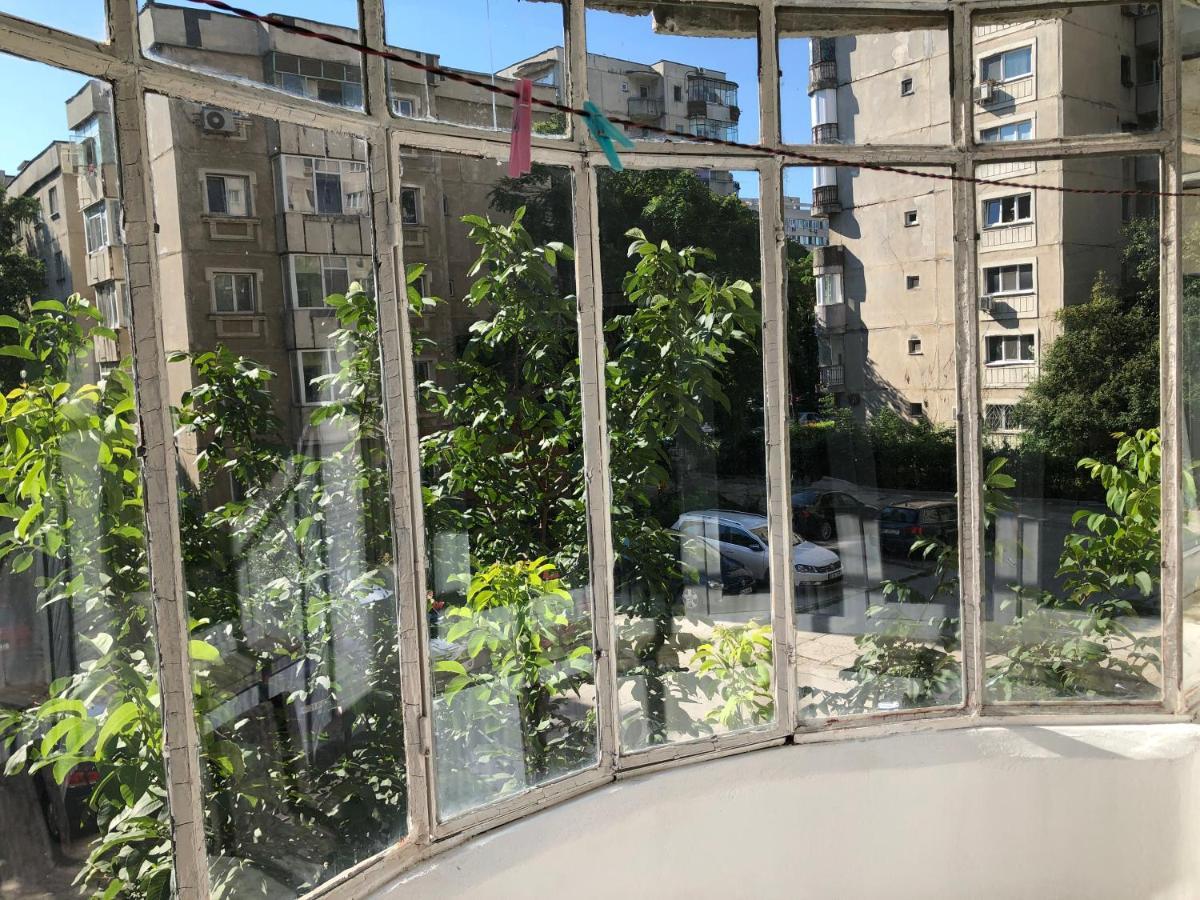 Le Garcon De Cristina-simple,quiet,spacious Bucureşti