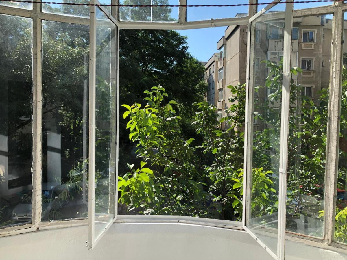 Le Garcon De Cristina-simple,quiet,spacious * Bucureşti
