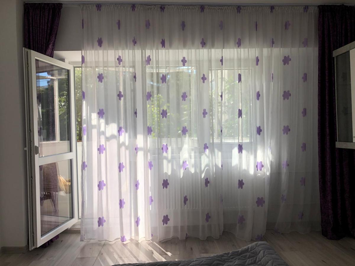 Le Garcon De Cristina-simple,quiet,spacious Apartment Bucharest