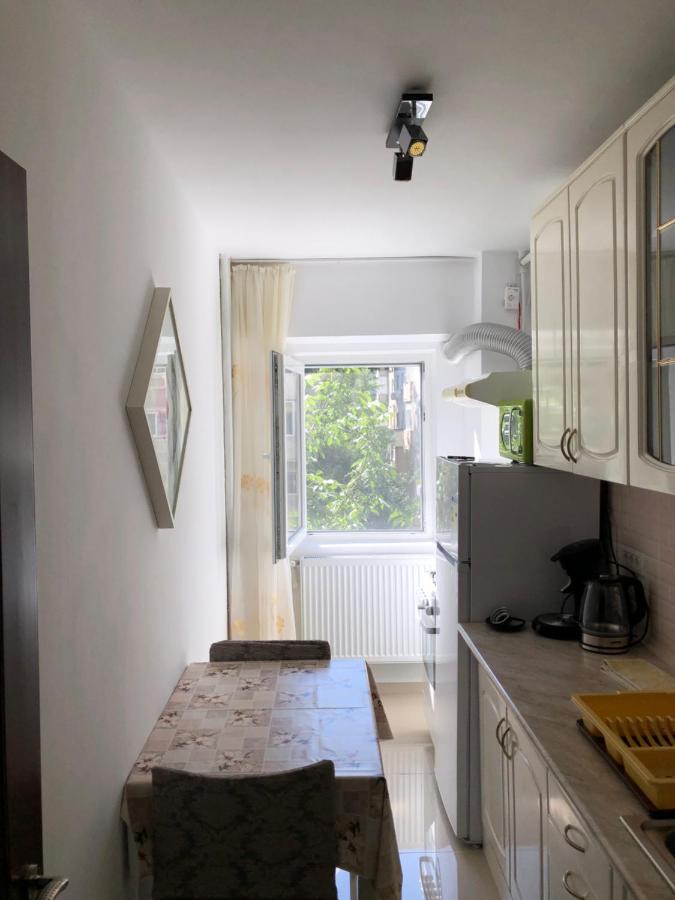 Le Garcon De Cristina-simple,quiet,spacious Bucureşti
